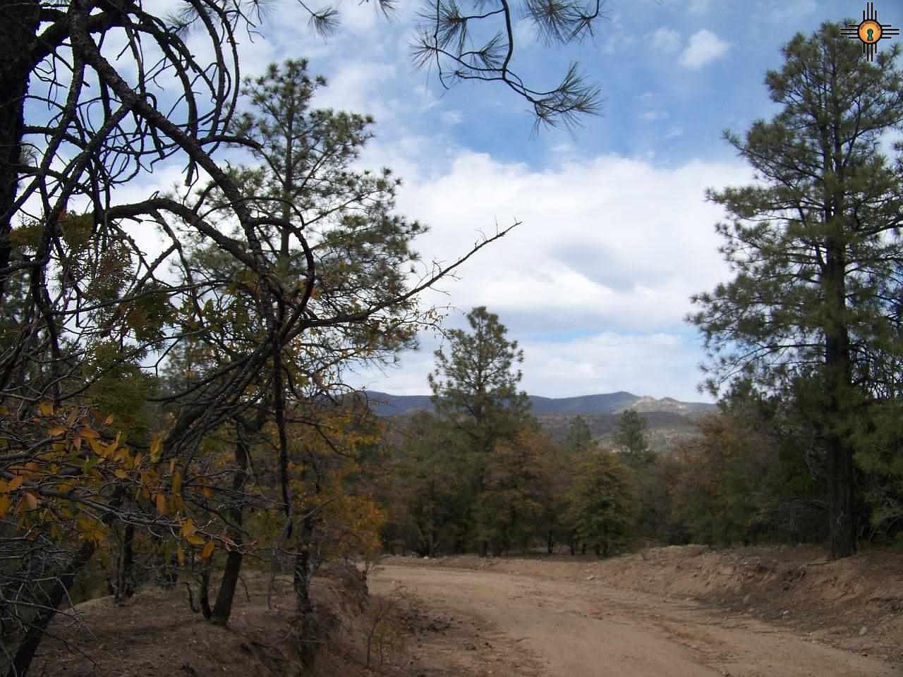 Xxxxx Main St, Pinos Altos, NM 88053 Zillow