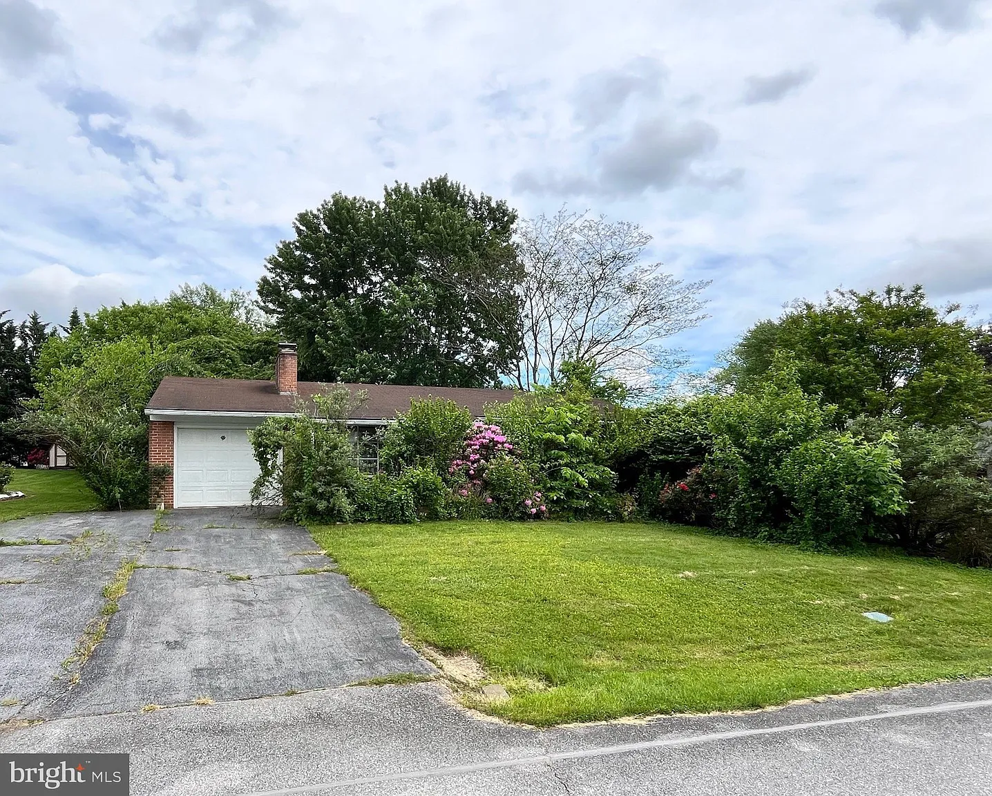 10913 Rosewood Dr photo 1
