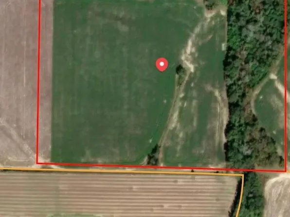 835 Mill Pond Rd, Pelham, GA 31779