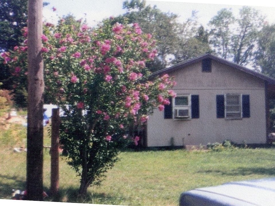 dogwoods in bloom