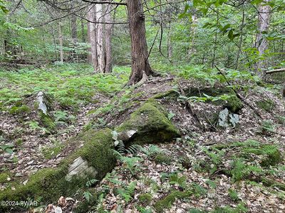 0 Rotten Rd, Equinunk, PA, 18417