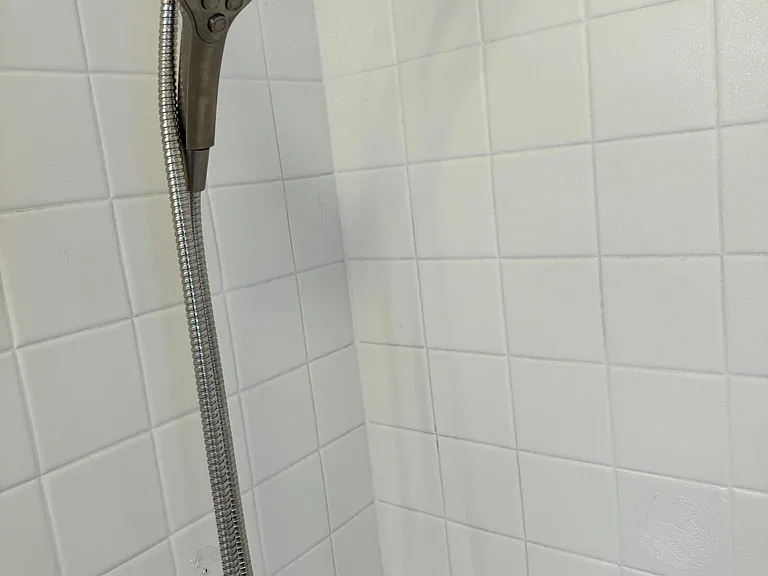Detachable Showed With Magnetic Clip to Hold in Place (taken prior to bathroom renovations of wall!)
