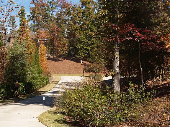 View from House up drive