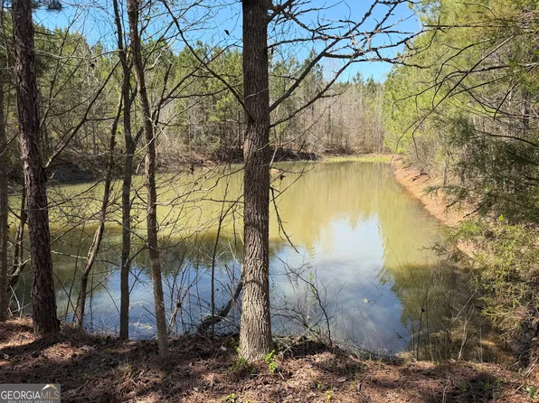 0 County Road 79, Wadley, AL 36276