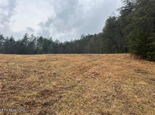 680 Bug Branch Rd, Del Rio, TN 37727