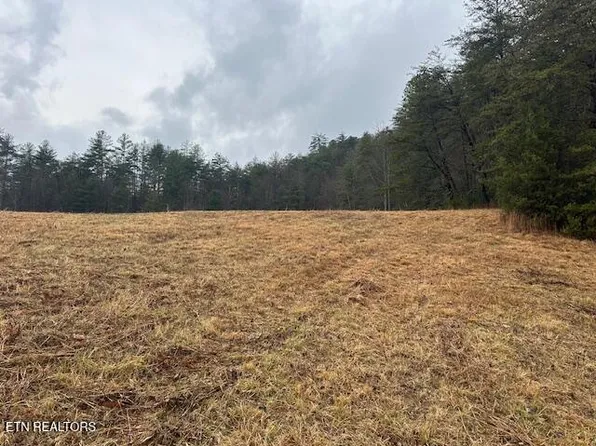 680 Bug Branch Rd, Del Rio, TN 37727