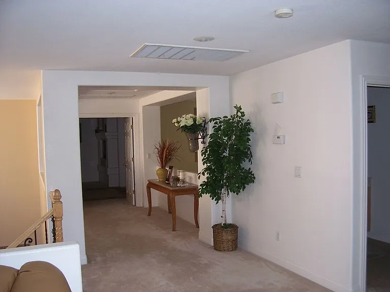 3316 Lacebark Pine St — Photo 11