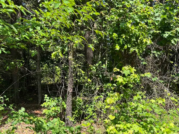 (undisclosed Address), Higden, AR 72067