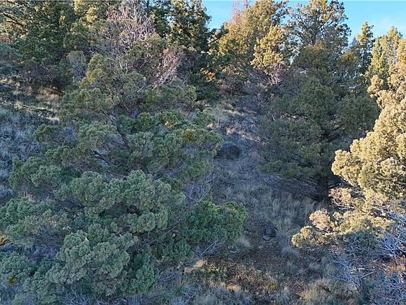 5th image of 44 Dwinell Rd