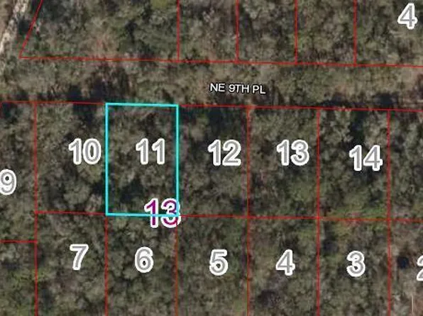 0 NE 9th St, Williston, FL 32696