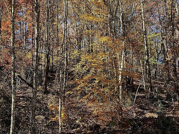 4th image of Emerald Springs Loop