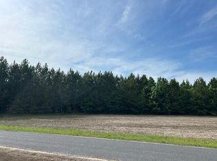 1 Reeves Farm Rd, Saint George, SC 29477