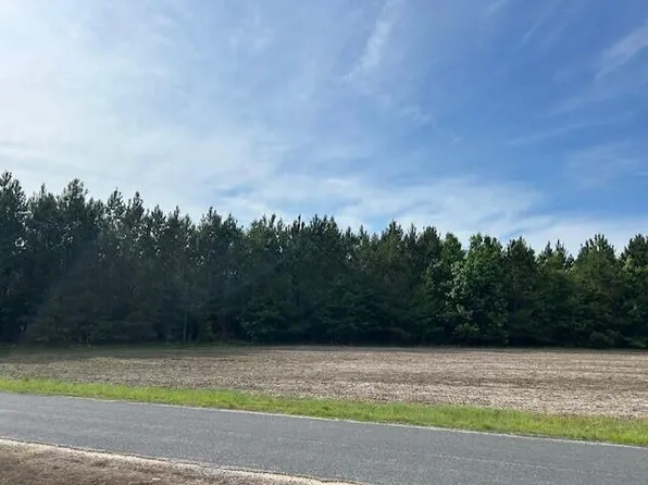 1 Reeves Farm Rd, Saint George, SC 29477