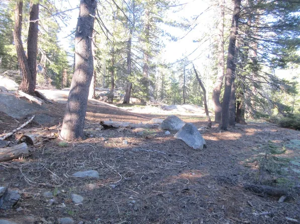 175 Silver Tip Dr, Arnold, CA 95223