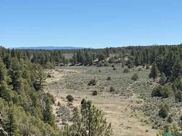Foredst Service Rd #144, Cebolla, NM 87518