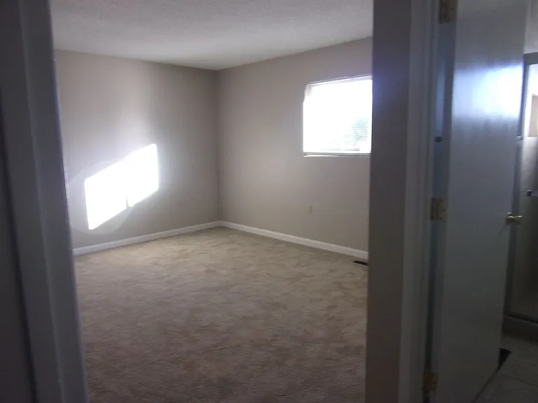 178 Rainier Cir — Photo 6