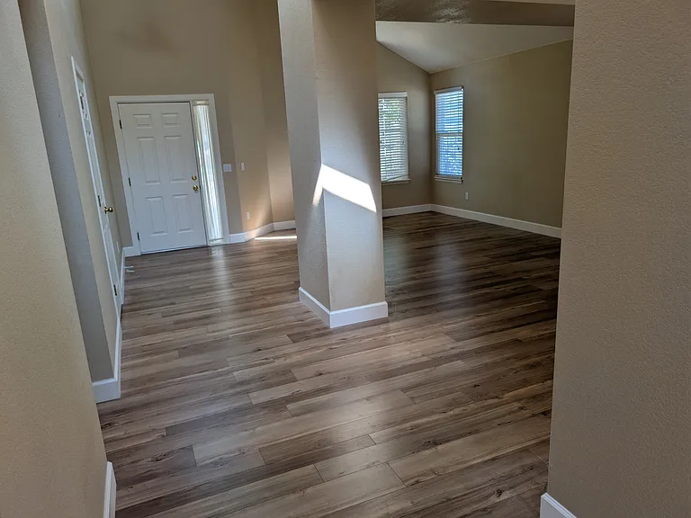 Living and Dining Room Areas