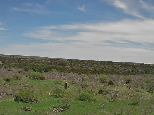 325 Big Country Ct, Strawn, TX 76475