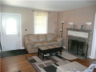 Nice WoodBurning Fireplace