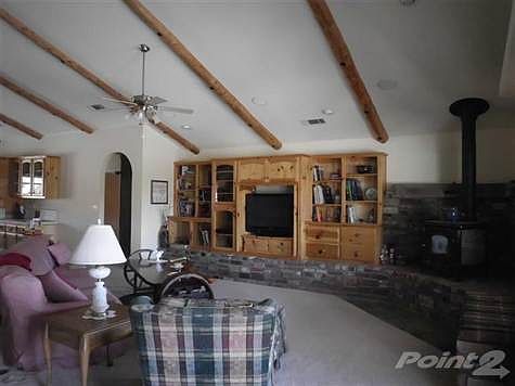 Great Room.  Notice the half logs on the vaulted ceiling.  Don't forget, each brick has a history.  Wood stove is to the right.