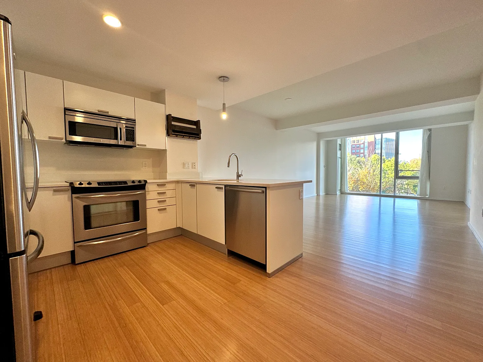 1 bed, 910 sqft, $3,300 — Photo 4