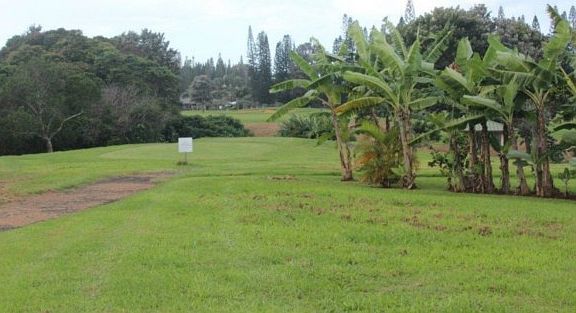 4th image of 4160 Waileia Pl Lot 1