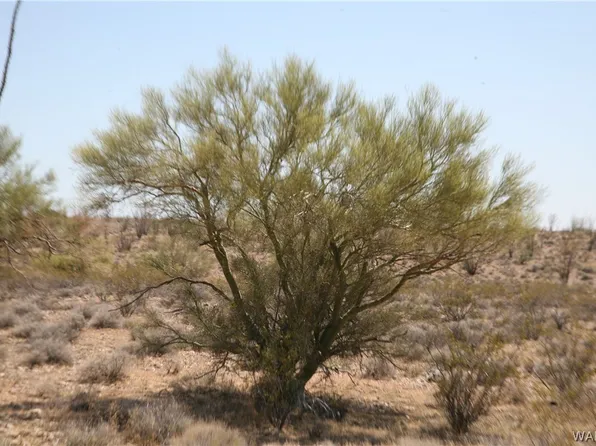 F15 & 16 Lorton Rd, Yucca, AZ 86438