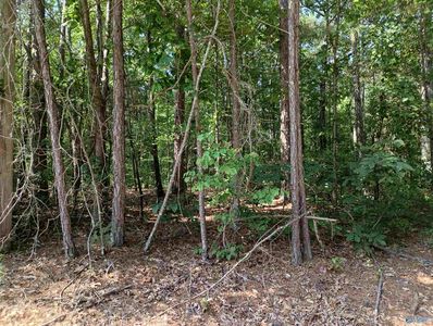 1 Arledge Dr, Attalla, AL, 35954