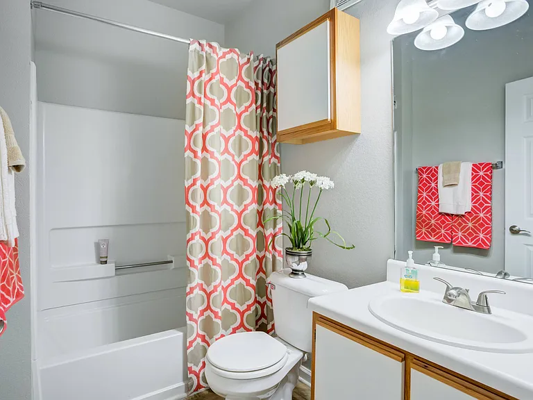 Full Bathroom View