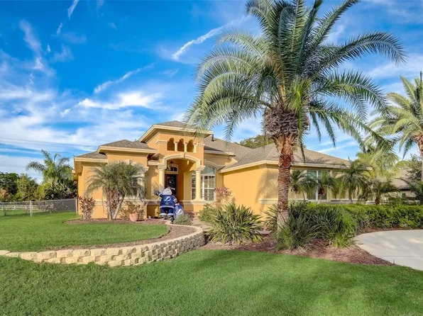 12529 TWIN BRANCH ACRES ROAD, TAMPA, FL 33626