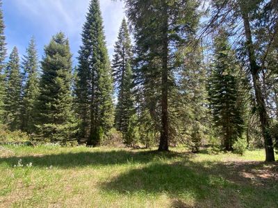 4-E-2 Echo Way, McCloud, CA, 96057