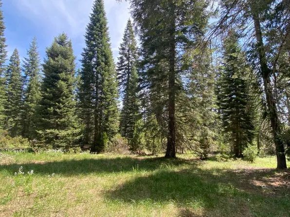 4-E-2 Echo Way, McCloud, CA 96057