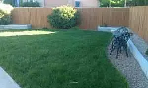 Enclosed back yard