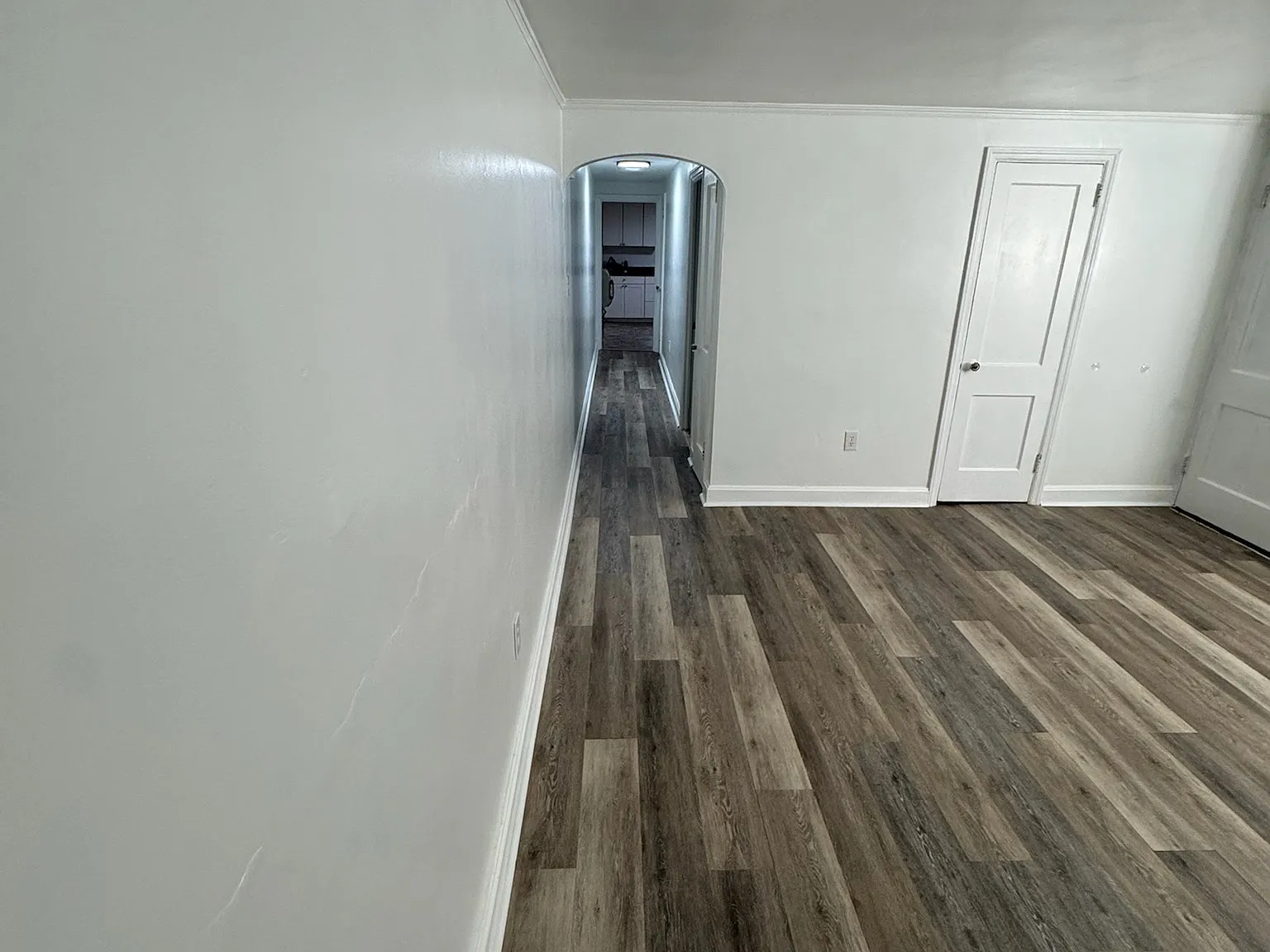 1 bed, 800 sqft, $1,100 — Photo 4
