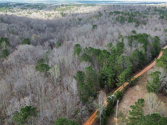 Dji Fly 20260305 163712 463 1773259670202 Photo Optimized