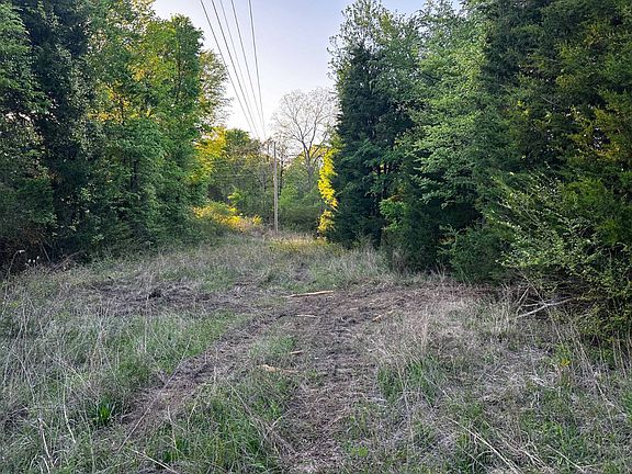 5th image of Conifer Rd