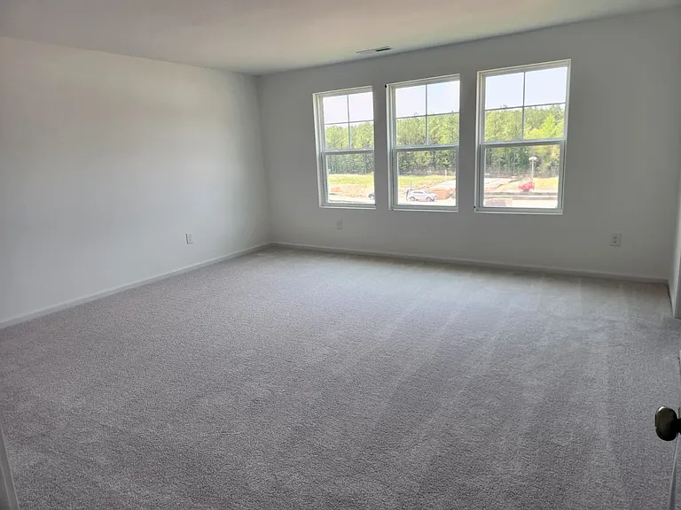 713 Painted Daisy Ln — Photo 10