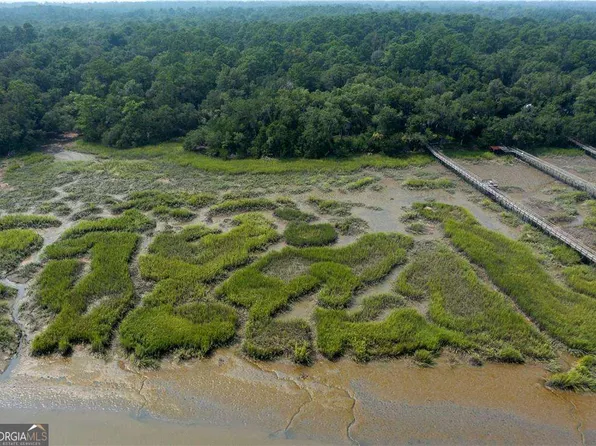 1304 Old Smokey, Crescent, GA 31304