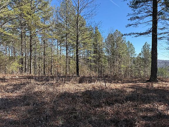 5th image of 3970 Split Rail Way Lot 1375
