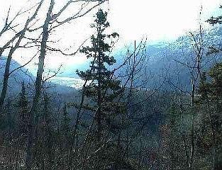 1st image of Mi 84 5 S Glenn Hwy