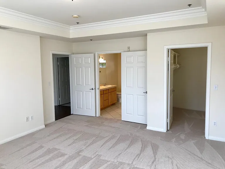 Master bedroom (note, walk-in closet is hardwood now)