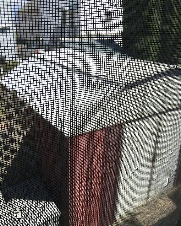 2nd image of 52 Revere St