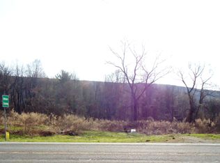 7351 Webster Crossing Rd, Springwater, NY 14560