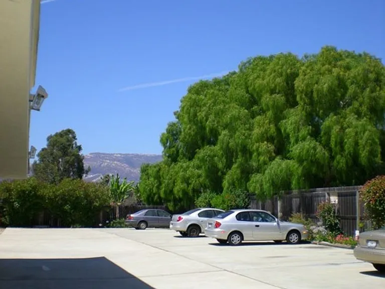 420 Ellwood Beach Dr — Photo 15