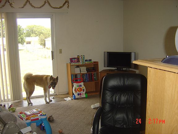 Living Room view 1
