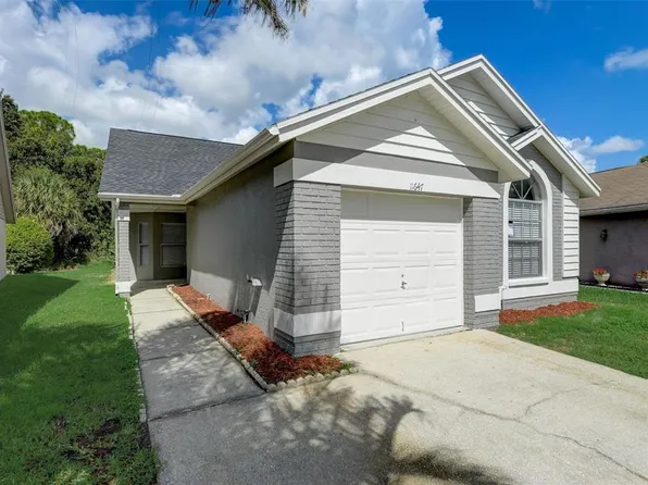 11647 SUNSHINE POND ROAD, TAMPA, FL 33635