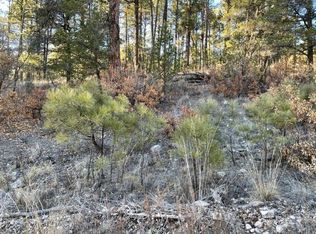 2-L2 Uranus Dr #4-15, Timberon, NM 88350