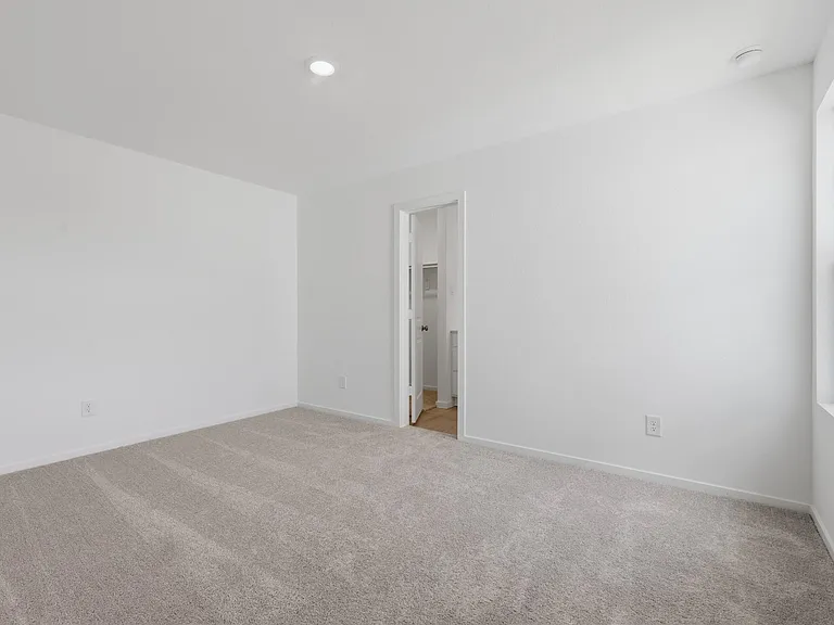 20166 Green Mallard St — Photo 5