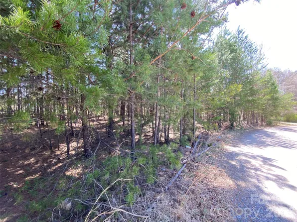 Next To 1670 Buck Oak Rd, Lincolnton, NC 28092