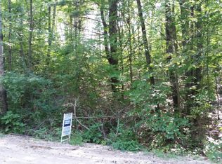 LOT 28 E Lake St, Stanton, MI 48888